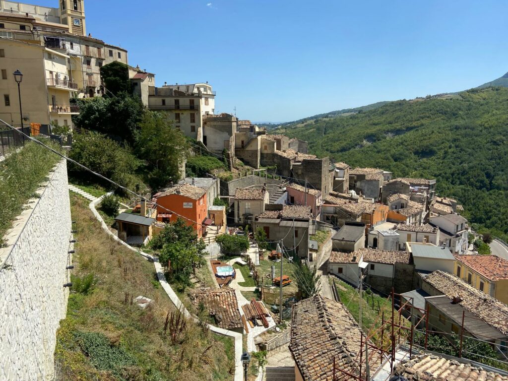 WhatsApp Image 2025-07-30 at 15.53.30